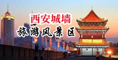 破处视频播放器插洞洞中国陕西-西安城墙旅游风景区
